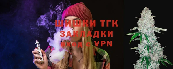 хмурый Гусев
