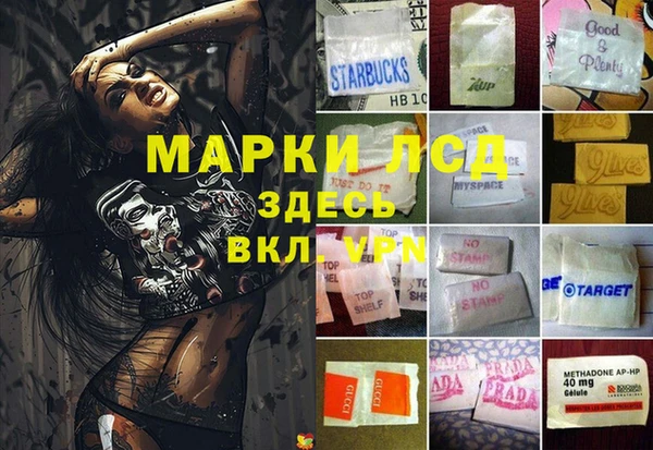 хмурый Гусев