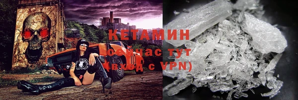 трава Гусь-Хрустальный