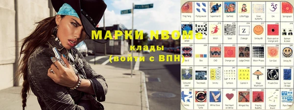 хмурый Гусев