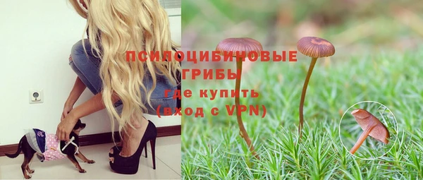 хмурый Гусев