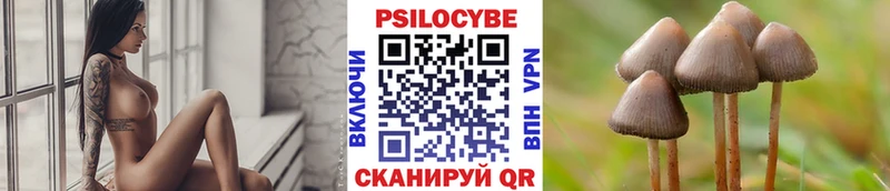 Галлюциногенные грибы Cubensis  наркошоп  Ярославль 